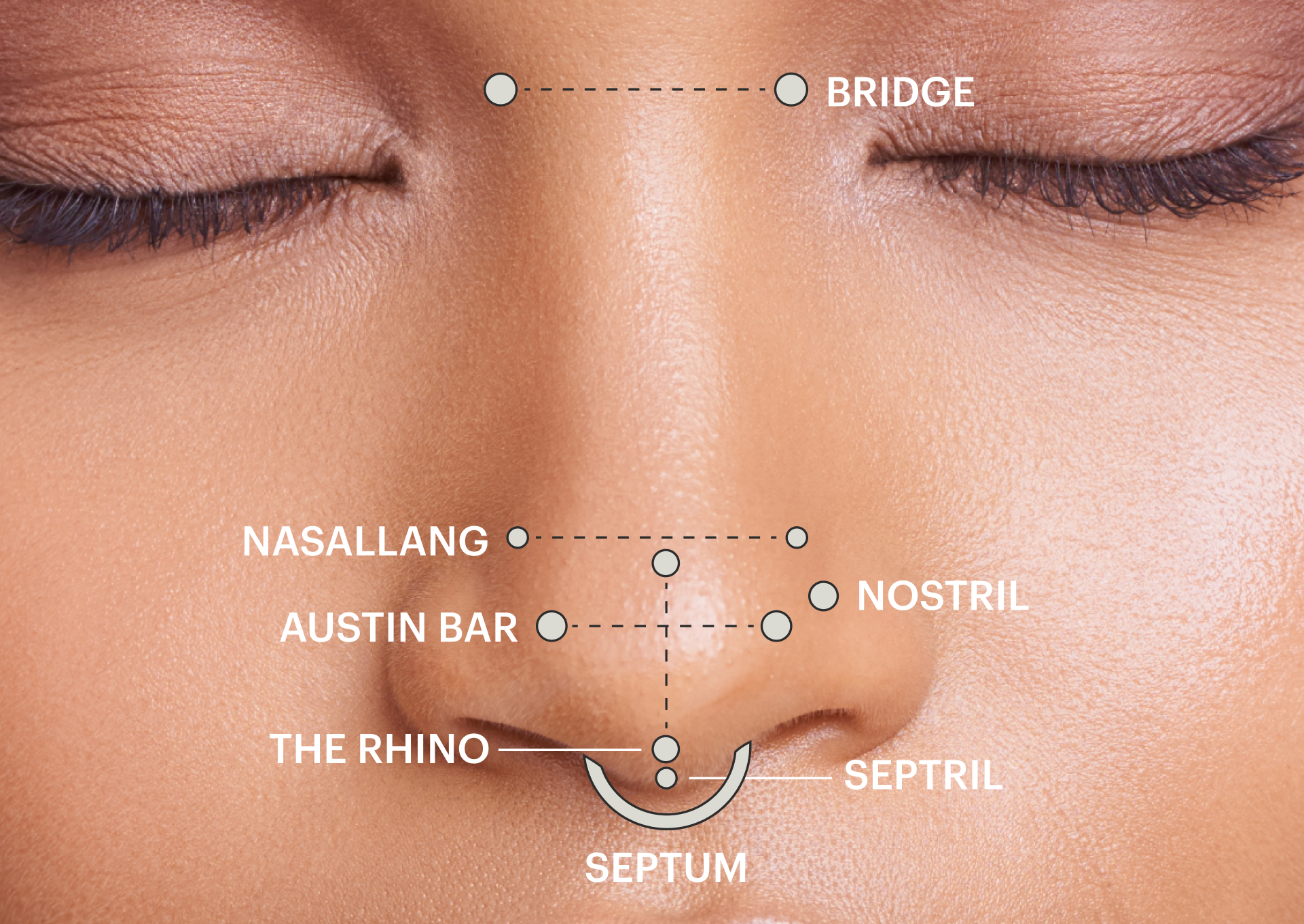 Nose piercing jewelry can be worn on different parts of the nose Nose piercing jewelry can be worn on different parts of the nose