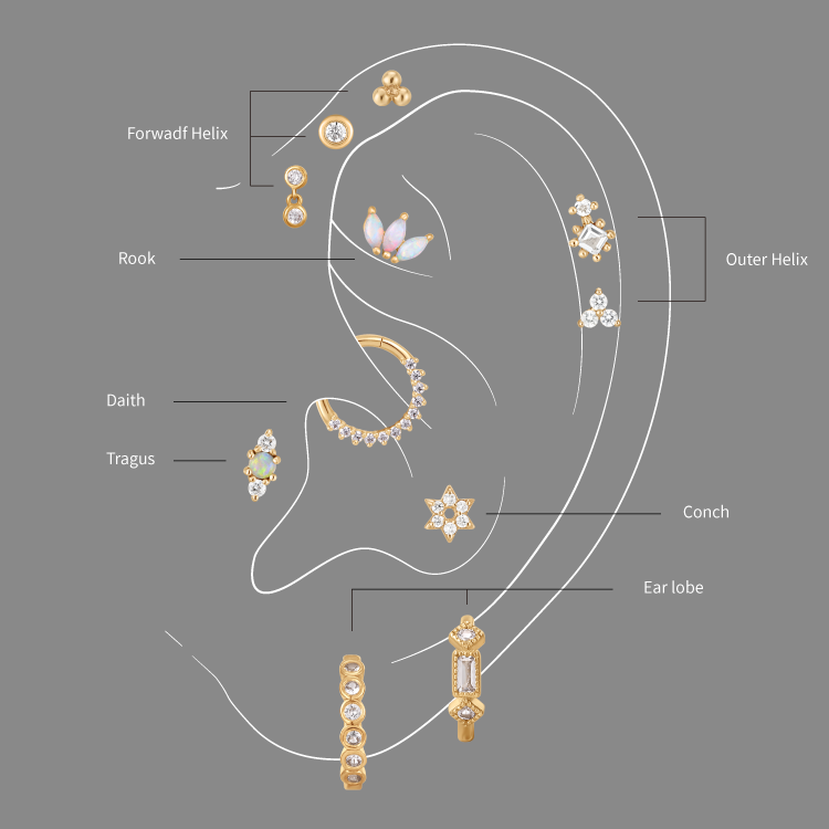 different parts of the ear with ear piercing jewelry different parts of the ear with ear piercing jewelry