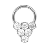 Stainless Steel Shiny Hasite Diamond Arrangement Open Nose Ring