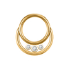 Three Gem Diamond Cartilage Segment Clicker Nose Rings NBH006BKWH-ST8