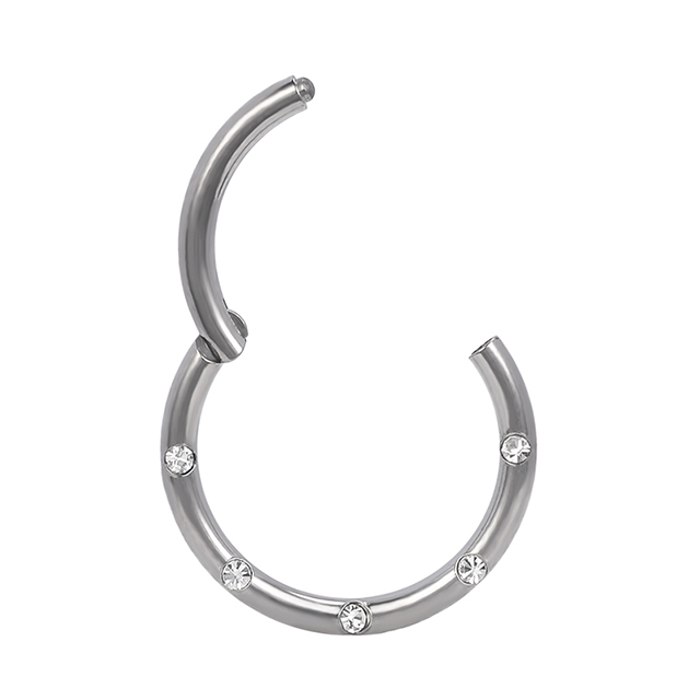 Titanium Hinged Hoop Nose Ring Piercing Titanium Hinged Nose Ring OEM
