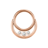 Three Gem Diamond Cartilage Segment Clicker Nose Rings NBH006BKWH-ST8